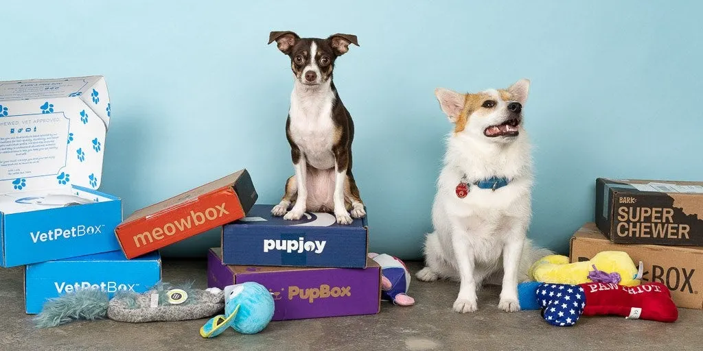 PupJoy 
