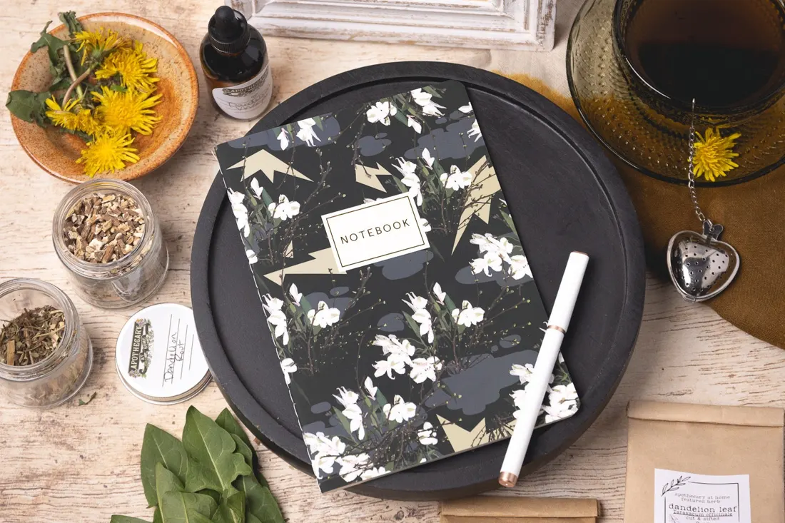 Herbal Apprentice Box subscription box 3