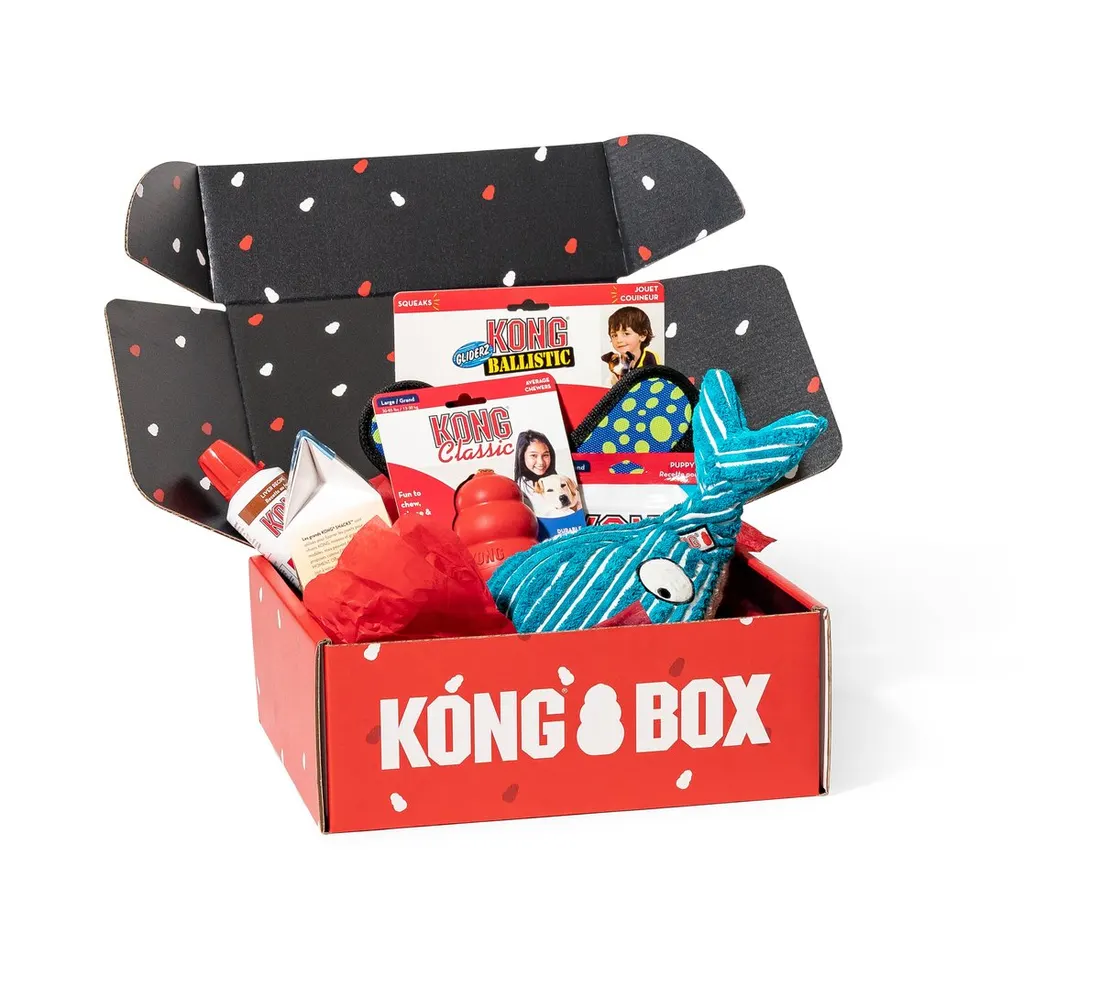 Kong Box