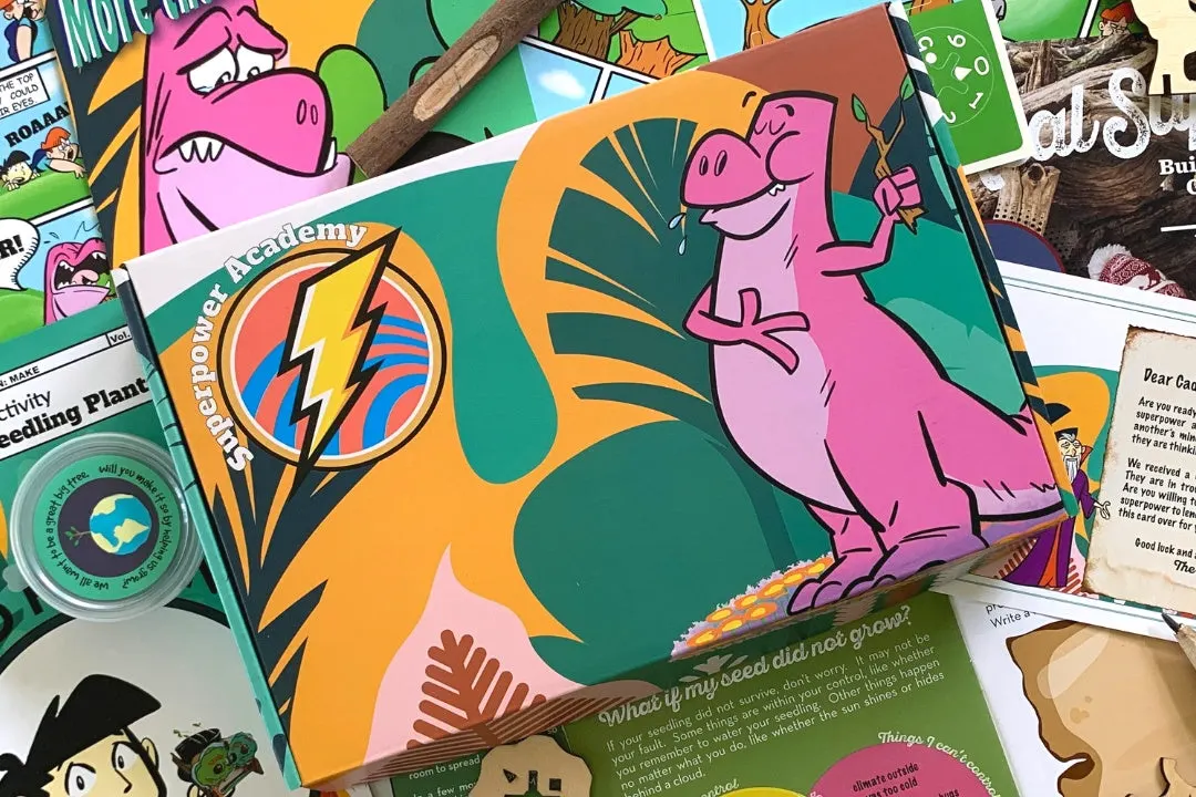 Superpower Academy subscription box 2